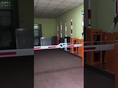 AC 모터 장벽 게이트 BG-102